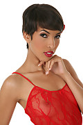 Red Sun with Jasmine Arabia